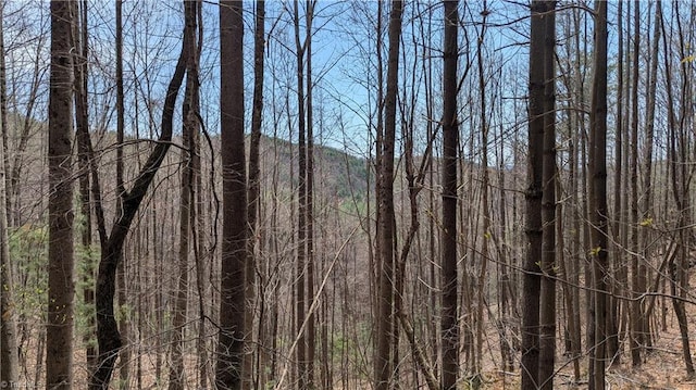 000 Big Ivy Rd, Purlear, NC 28665