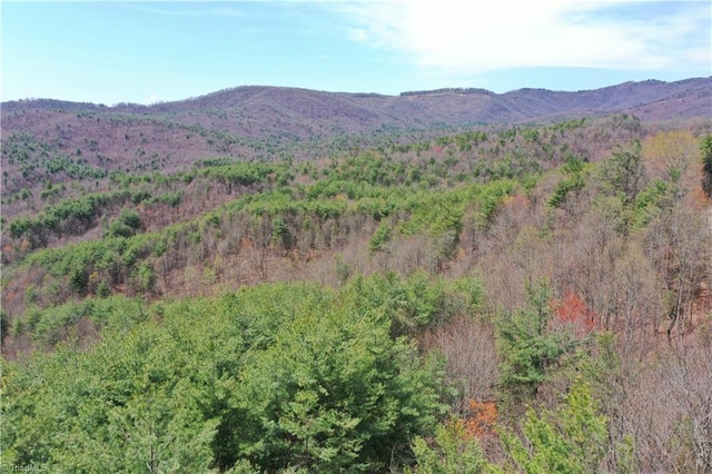 000 Big Ivy Rd, Purlear, NC 28665