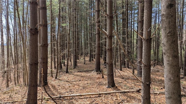 000 Big Ivy Rd, Purlear, NC 28665