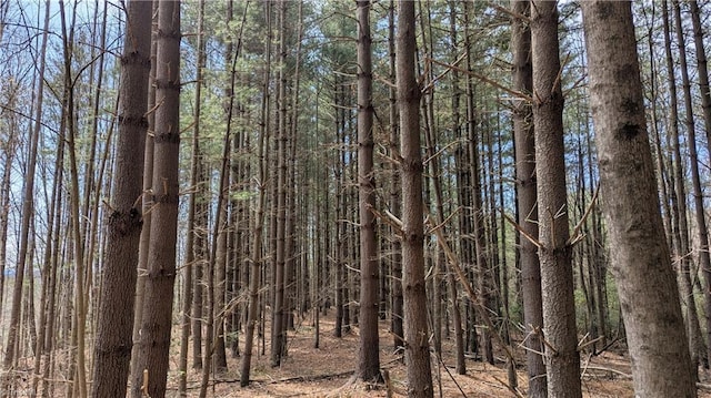 000 Big Ivy Rd, Purlear, NC 28665