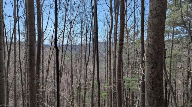 000 Big Ivy Rd, Purlear, NC 28665