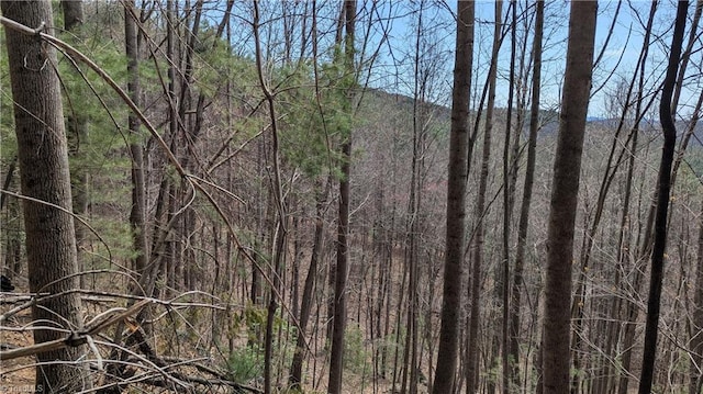 000 Big Ivy Rd, Purlear, NC 28665