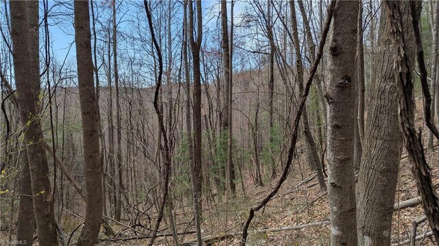 000 Big Ivy Rd, Purlear, NC 28665
