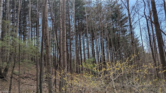 000 Big Ivy Rd, Purlear, NC 28665