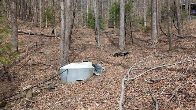000 Big Ivy Rd, Purlear, NC 28665