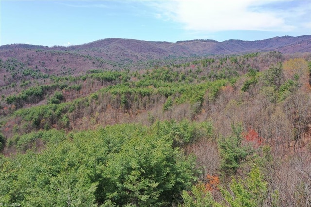 000 Big Ivy Rd, Purlear, NC 28665