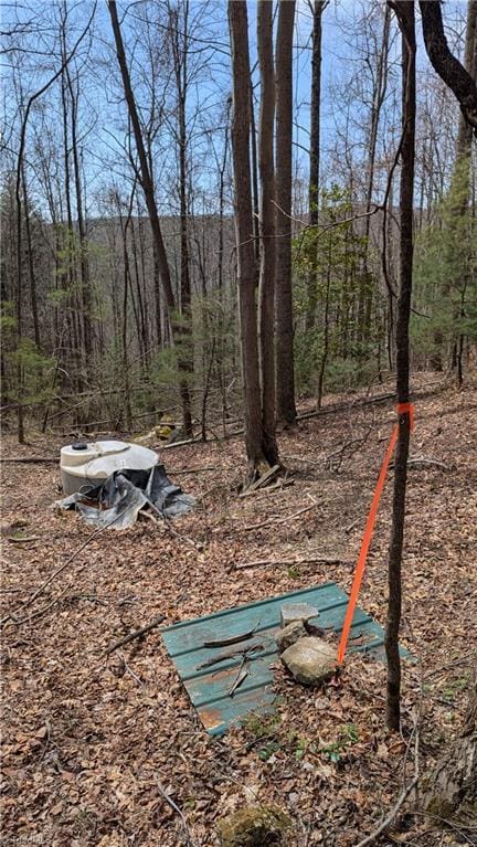 000 Big Ivy Rd, Purlear, NC 28665