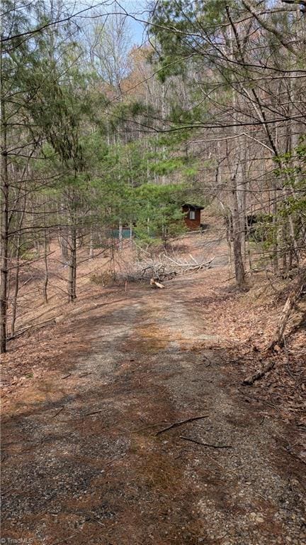 000 Big Ivy Rd, Purlear, NC 28665