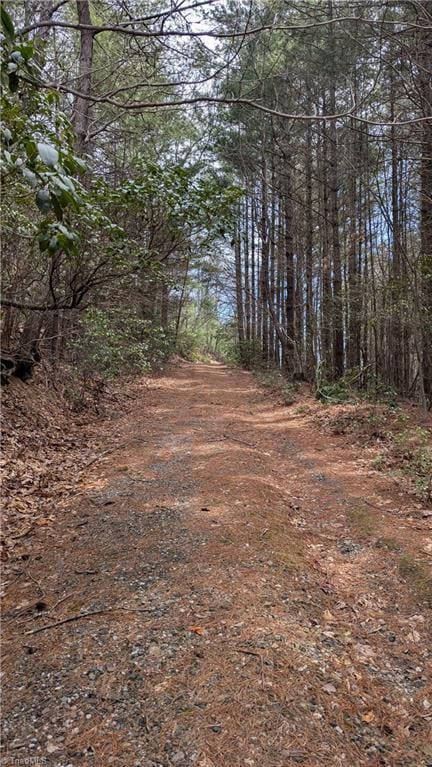 000 Big Ivy Rd, Purlear, NC 28665