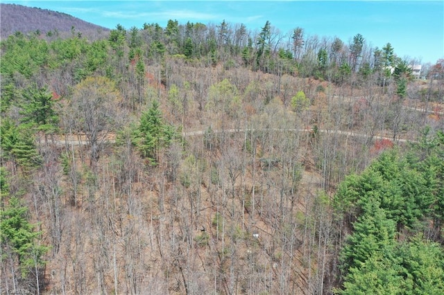 000 Big Ivy Rd, Purlear, NC 28665