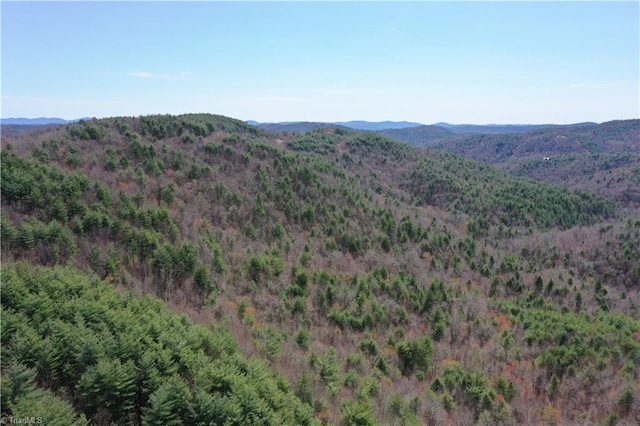 000 Big Ivy Rd, Purlear, NC 28665