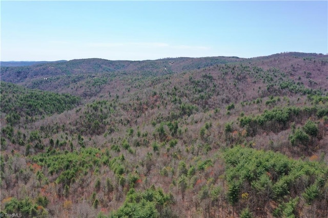 000 Big Ivy Rd, Purlear, NC 28665