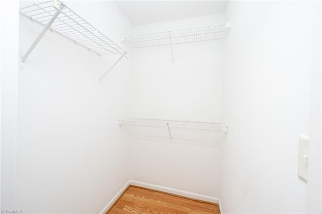 spacious closet featuring hardwood / wood-style flooring