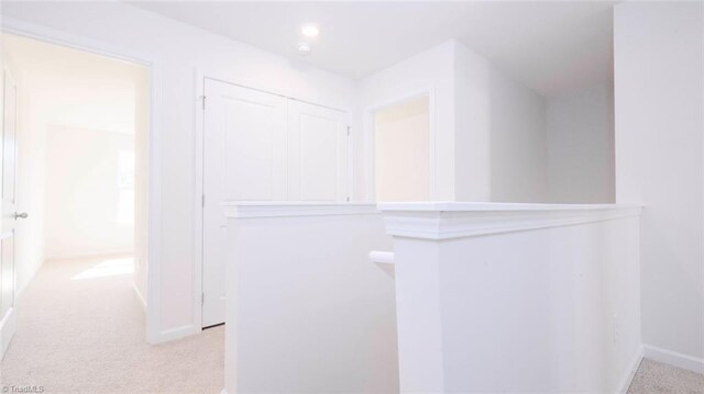 spacious closet featuring light colored carpet