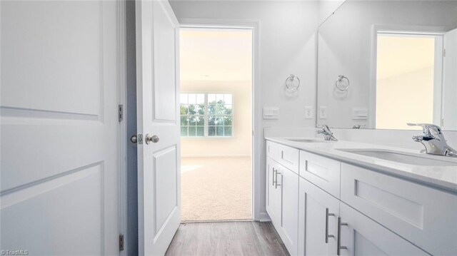 bathroom with vanity and wood-type flooring