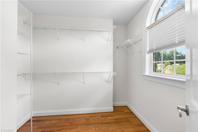 5119 Spiral Wood Dr, Clemmons, NC 27012 - walk in closet with wood finished floors