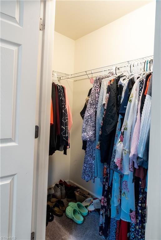 walk in closet featuring carpet