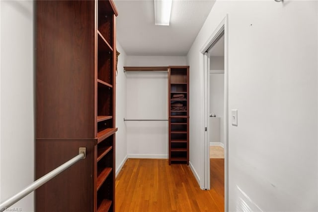 spacious closet featuring light hardwood / wood-style floors