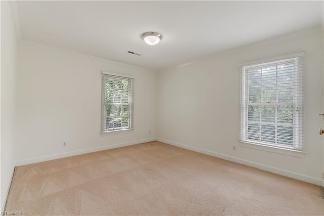 1807 Millhouse Ct, Greensboro, NC 27407 - spare room featuring crown molding and light colored carpet