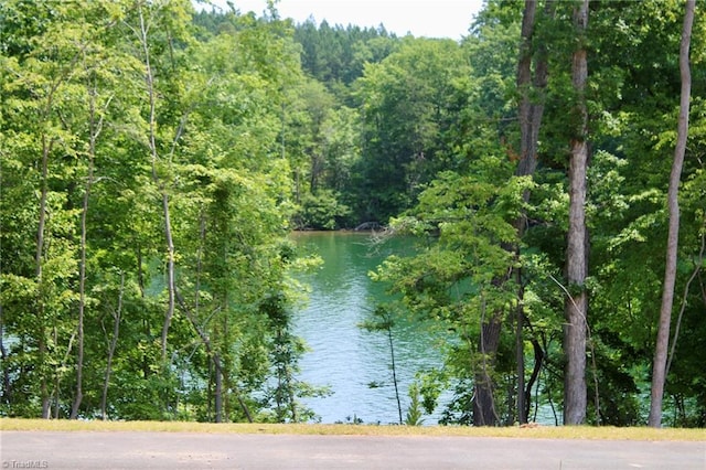 7640 Crossing Ridge Dr, Belews Creek, NC 27009 - water view featuring a heavily wooded area