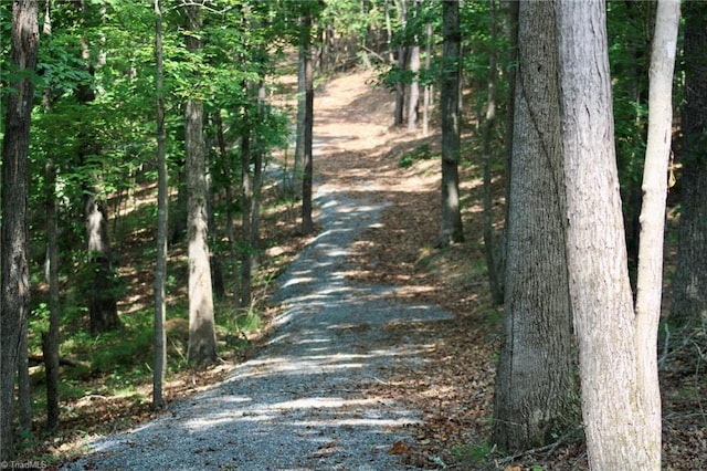 7640 Crossing Ridge Dr, Belews Creek, NC 27009 - view of street
