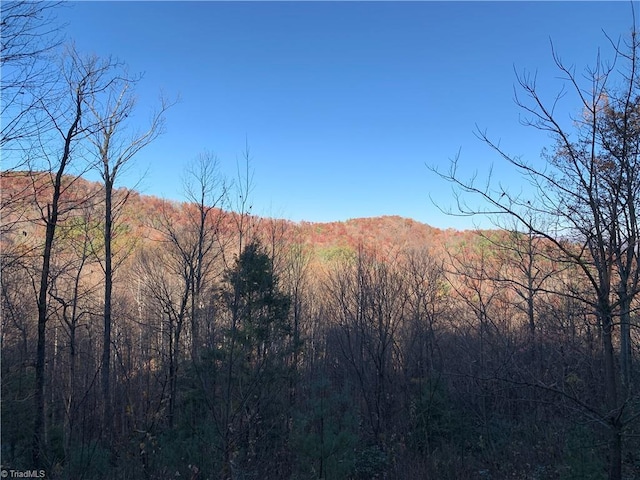 TBD(Lot19) Wolf Den Lane, Lenoir NC, 28645 land for sale