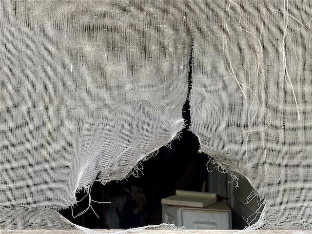 view of details