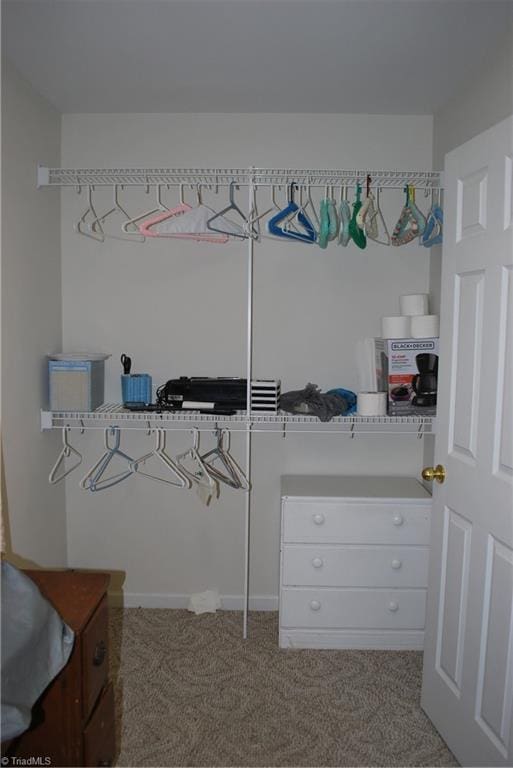 walk in closet featuring carpet flooring