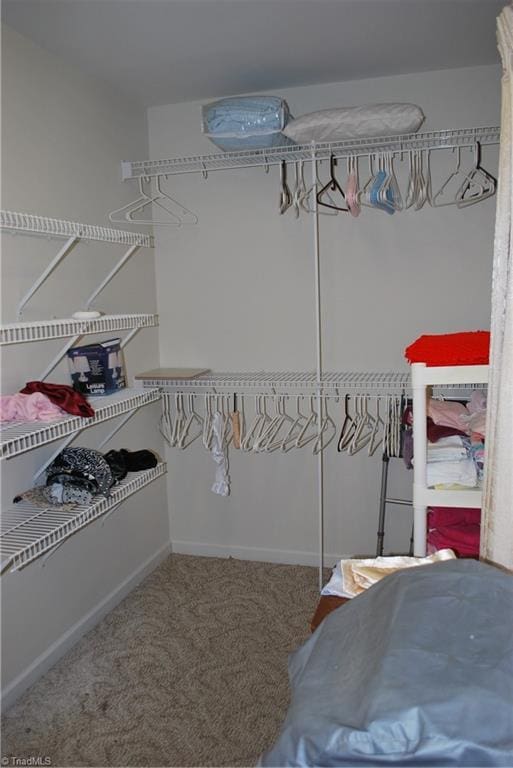 spacious closet with carpet floors