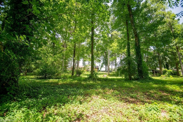 7040 Franklin Rd, Lewisville, NC 27023 - view of undeveloped land