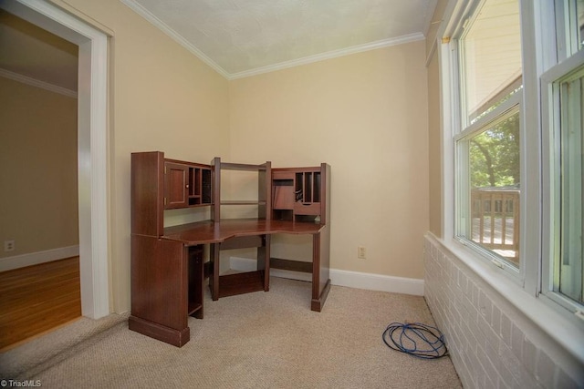 7040 Franklin Rd, Lewisville, NC 27023 - office space featuring ornamental molding and light carpet