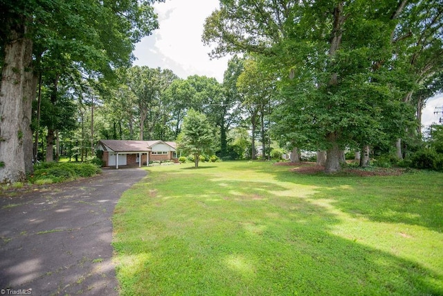 7040 Franklin Rd, Lewisville, NC 27023 - view of green lawn with driveway and view of wooded area
