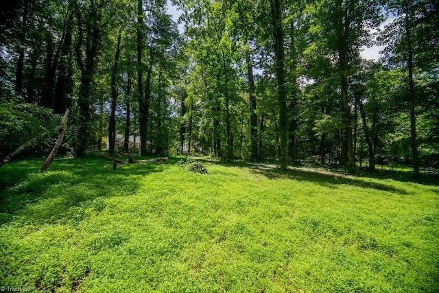 7040 Franklin Rd, Lewisville, NC 27023 - view of green lawn with a view of trees