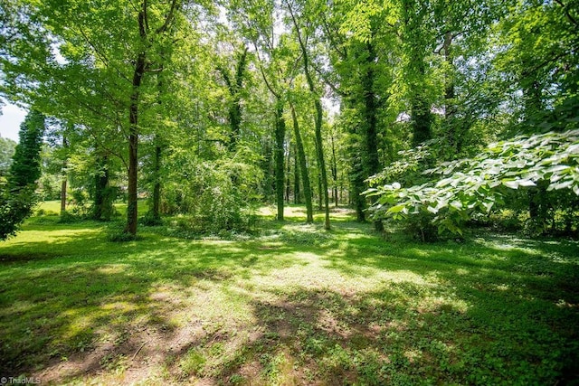 7040 Franklin Rd, Lewisville, NC 27023 - view of green lawn