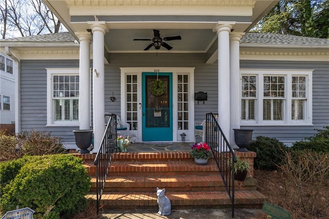 view of exterior entry featuring covered porch, ceiling fan, and roof with shingles