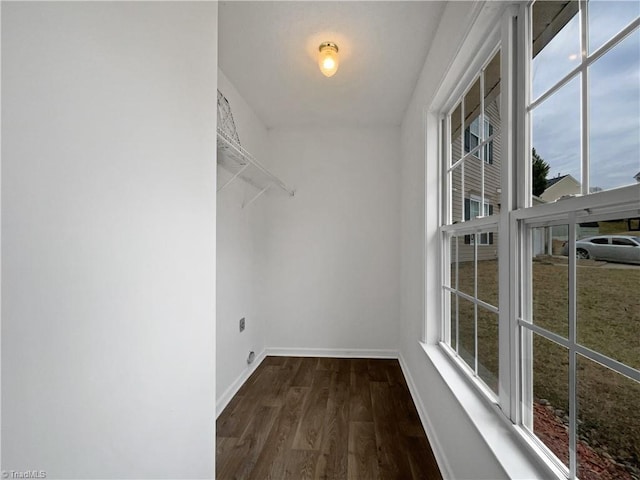 walk in closet with dark hardwood / wood-style flooring