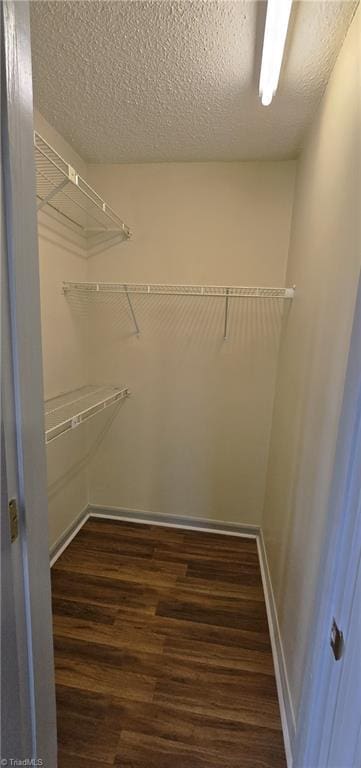 spacious closet featuring dark hardwood / wood-style flooring