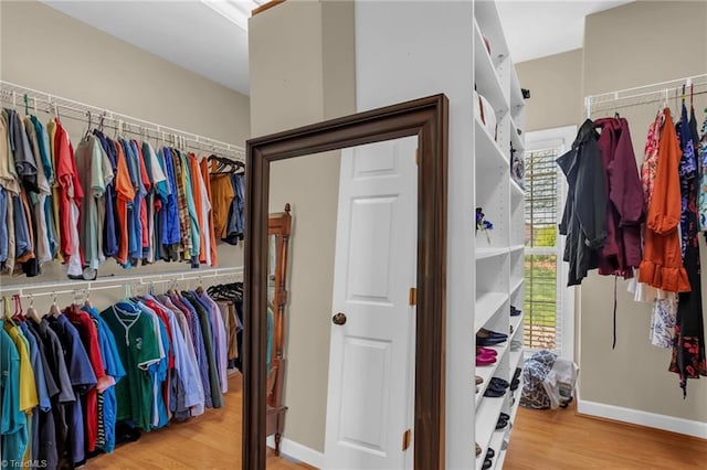 spacious closet featuring wood finished floors
