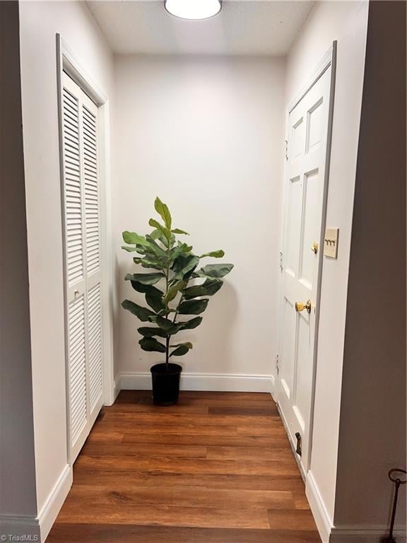 hallway featuring dark hardwood / wood-style floors