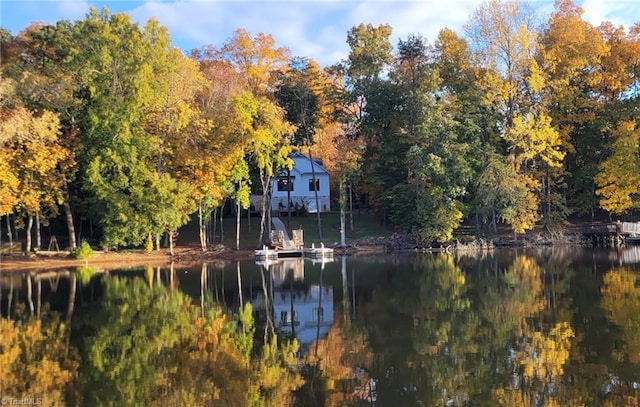 view of water feature with a boat dock