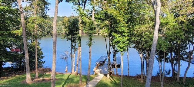 water view with a dock