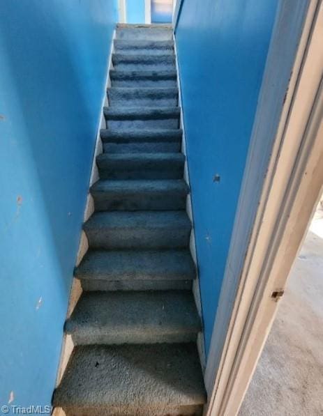 stairs featuring carpet floors