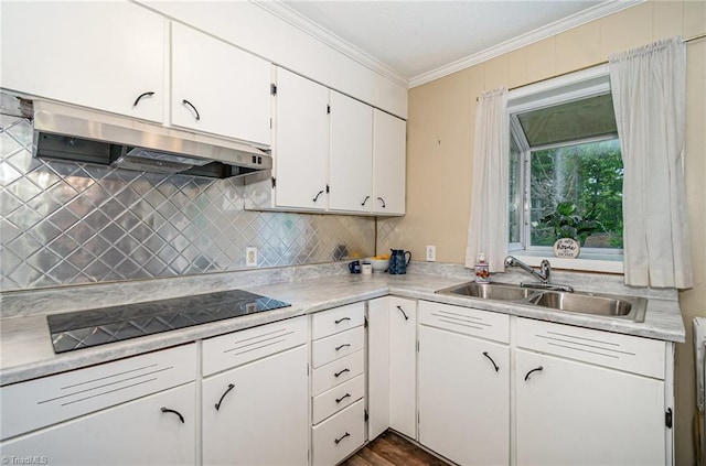 kitchen featuring under cabinet range hood, a sink, ornamental molding, black electric cooktop, and tasteful backsplash