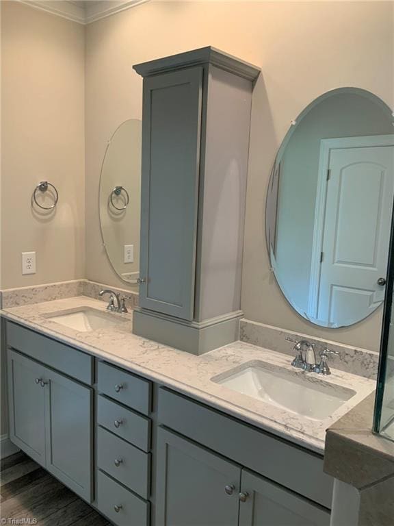 full bathroom with wood finished floors, a sink, and double vanity