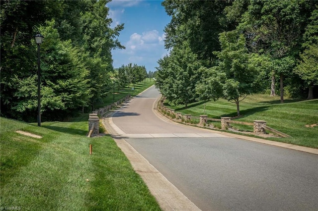 view of property's community with a lawn and driveway