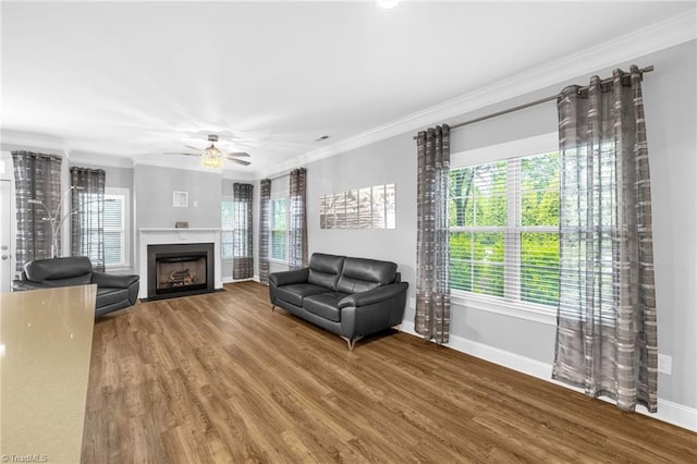 1604 Sunny Hill Way, Colfax, NC 27235 - living room with crown molding, baseboards, wood finished floors, ceiling fan, and healthy amount of natural light
