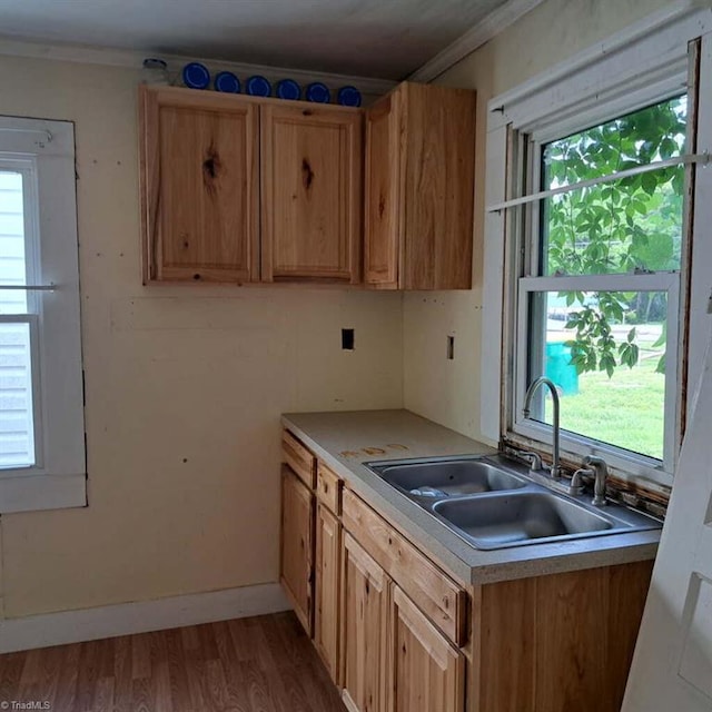 5426 Cedarbrook Rd, Jonesville, NC 28642 - kitchen with a sink, plenty of natural light, light wood finished floors, crown molding, and light countertops