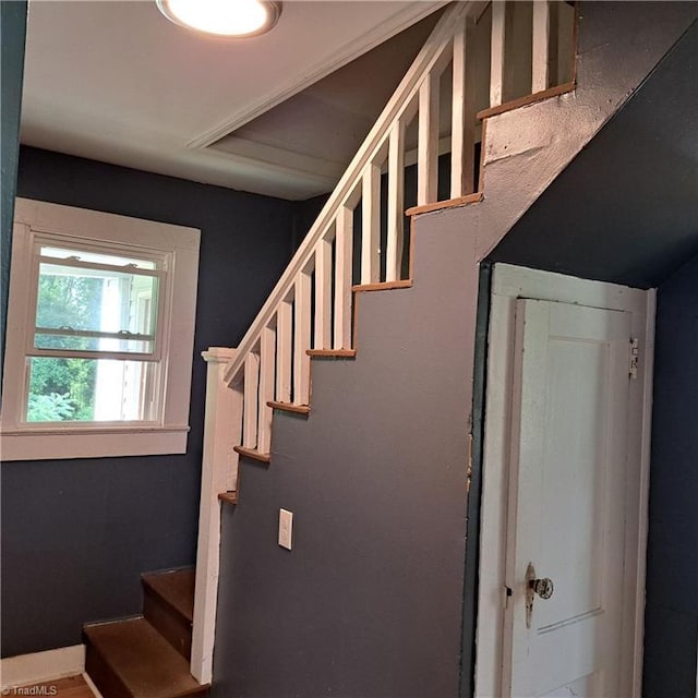 5426 Cedarbrook Rd, Jonesville, NC 28642 - view of stairs