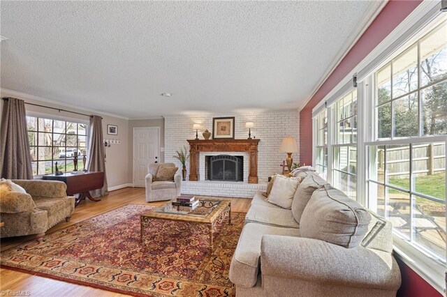 living area featuring a textured ceiling, ornamental molding, wood finished floors, and a fireplace
