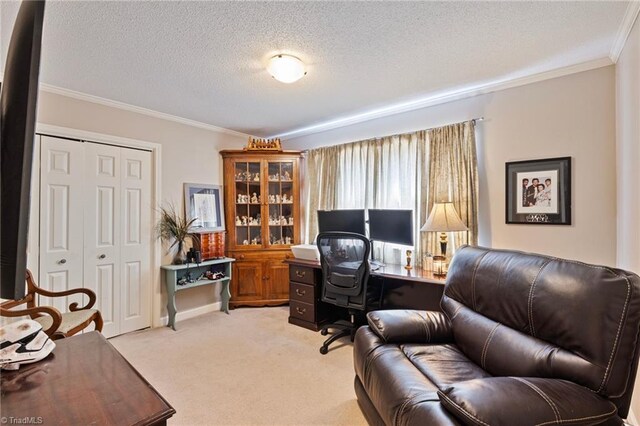 home office with crown molding, a textured ceiling, and light colored carpet